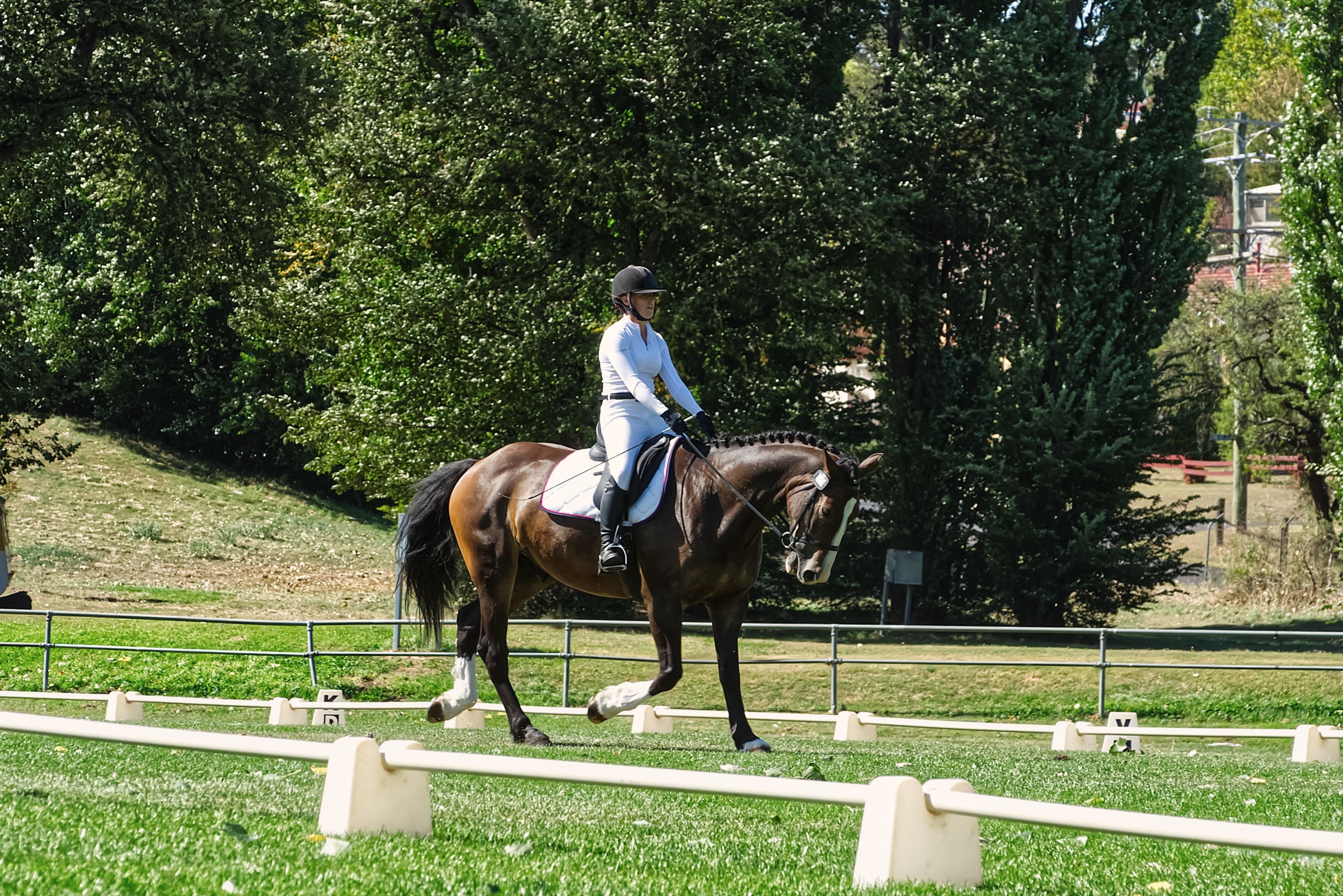 Warmblood horse and rider training in a dressage arena